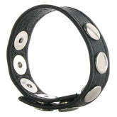 Colt 5 Snap Leather Cock Ring - Sex Toys & Adult Toys | XtoySmart Canada