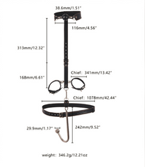 SM束缚套装 - 硅胶口塞项圈手铐肛钩五件套 成人情趣玩具 BDSM道具 强韧耐用