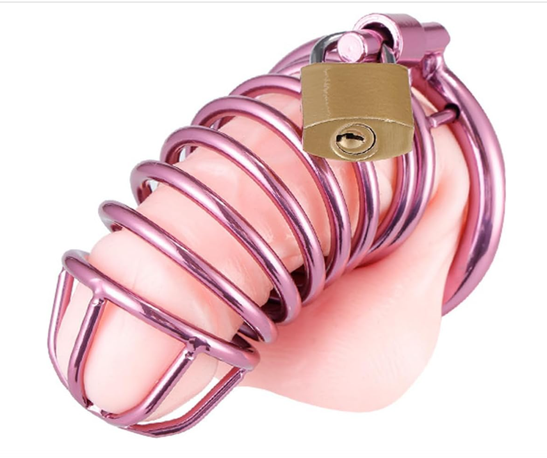 Purple Stainless Steel Male Cage Chastity Device with Three Different Sized Penis Rings