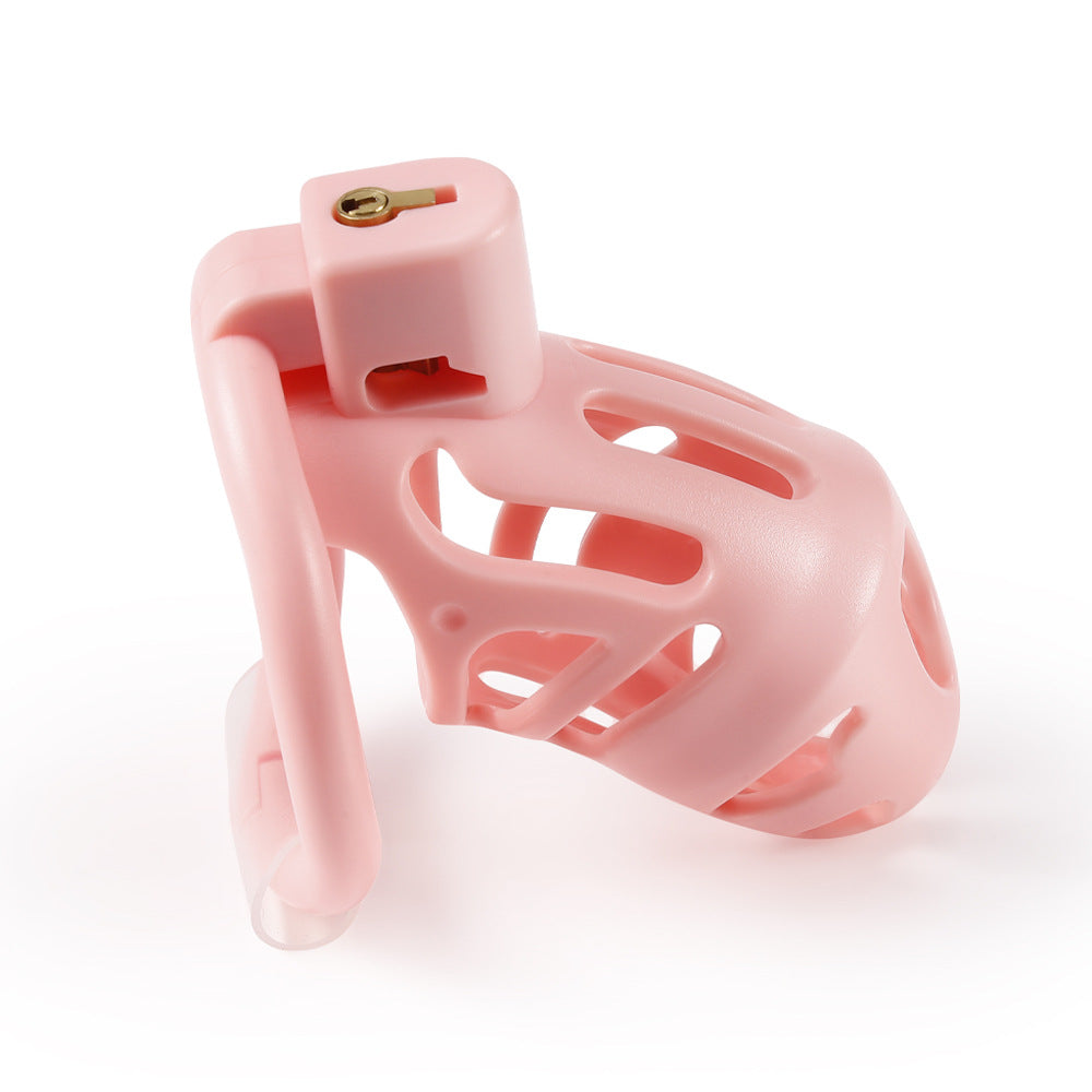 Chastity Cage for Men with 3 Rings - Resin Breathable Birdcage Design, Black, Pink, Purple