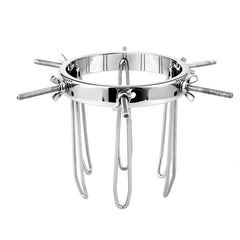 Stainless Steel Adjustable Expansion Ring Device – Large Size, Detachable Design