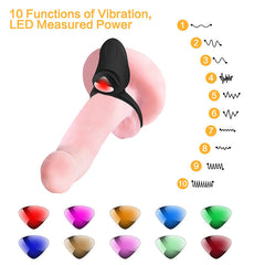 Forbidden Fruits We Rock Vibrating Cock Ring Powerful Vibe Wireless Controlled -  Sex Toys & Adult Toys | XtoySmart Canada