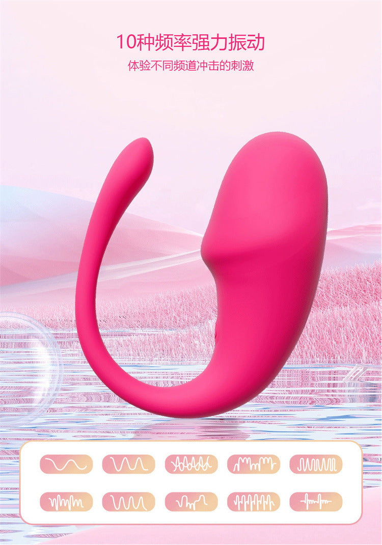 App Long Distance Remote Controlled Egg Vibrators