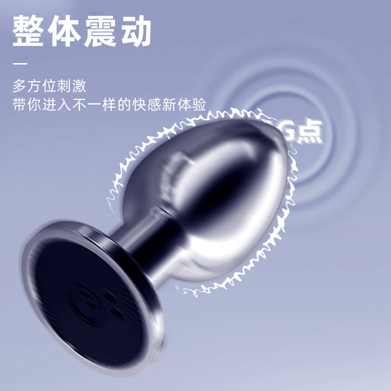 Stainless Remote-Control Vibrating Butt Plug with 10 Vibration Modes