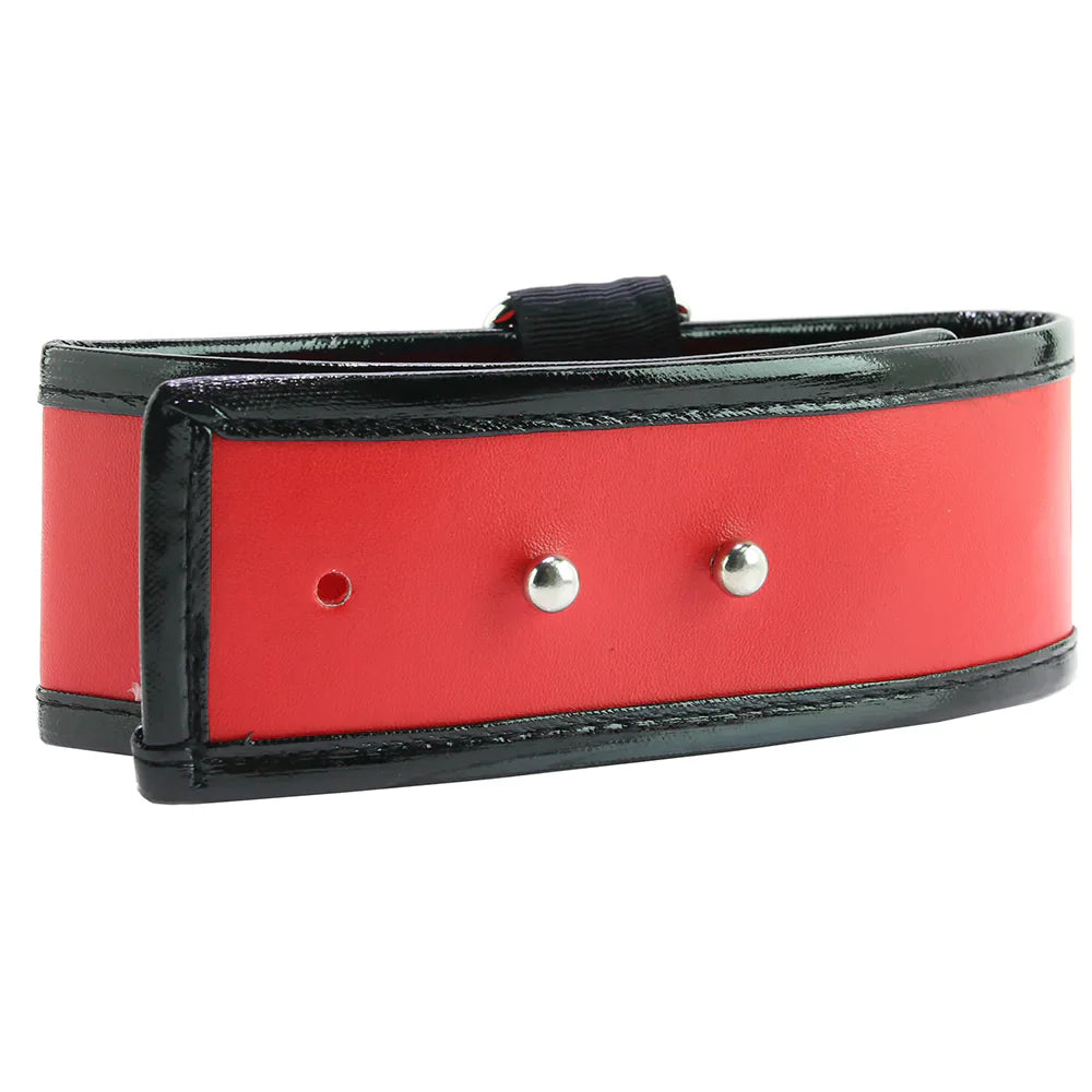 Red Leash and Collar