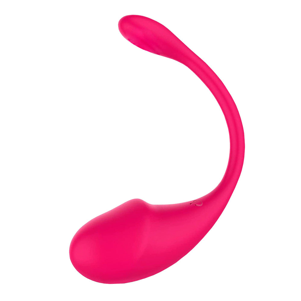 APP Long Distance Remote Control Wearable Panty Vibrator