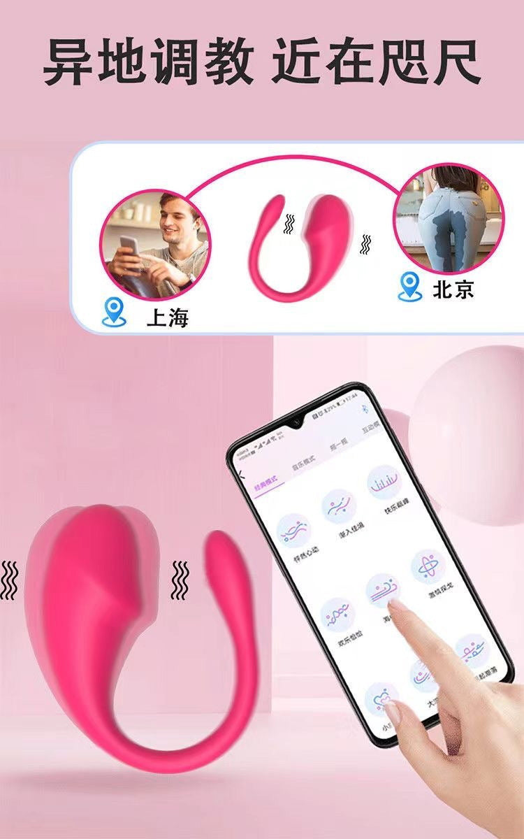 App Long Distance Remote Controlled Egg Vibrators